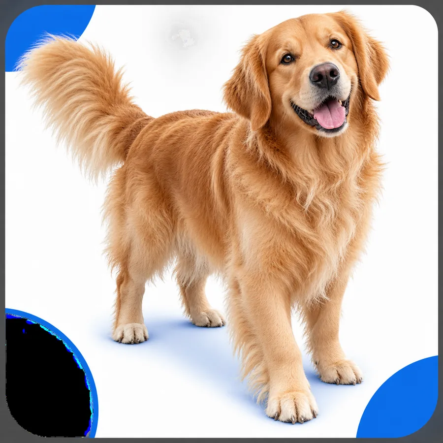 Example image for checking fine details after background editing